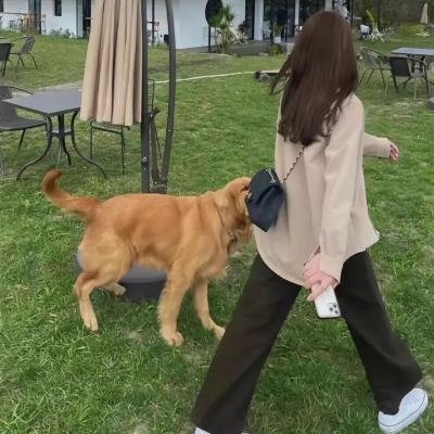 艾滋过后